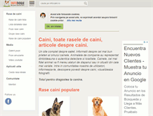 Tablet Screenshot of infocaini.ro